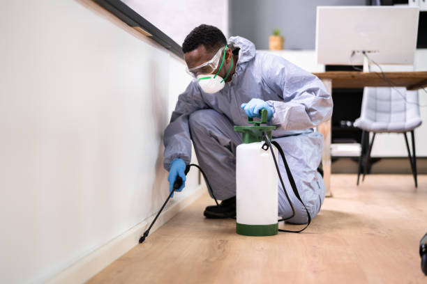 Best Pest Control for Multi-Family Homes  in Paulina, LA